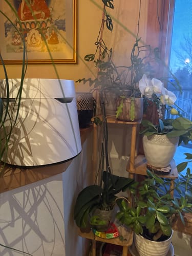 Customer photo review of Carepod One - Stainless Steel Humidifier