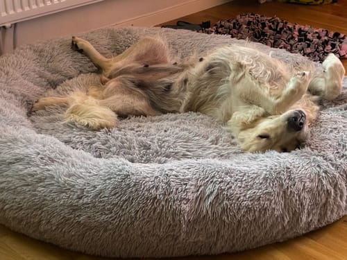 Customer photo review of CalmBed - Motverkar stress & hjälper mot ångest