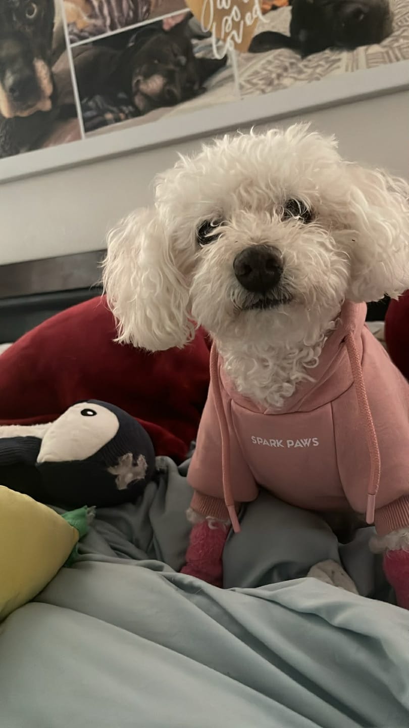 Customer photo review of Stretchy Fleece Dog Leg Warmer Sleeves - Pink