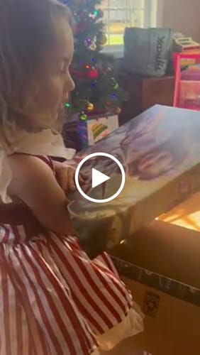 Customer video review of The Lavender Unicorn Princess