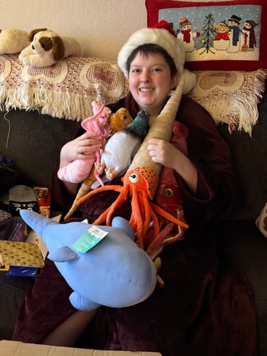 Customer photo review of Common Pigeon Bird Soft Stuffed Plush Toy