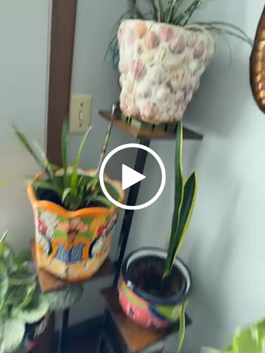 Customer video review of Tera Sausr - Leaf-shaped Pot Saucer - Drip tray for houseplants - Humidity tray