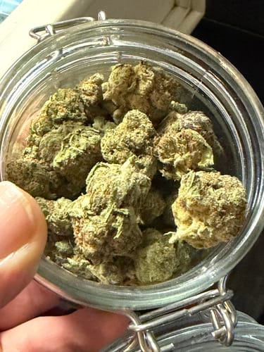 Customer photo review of Blueberry Syrup - 28 Grams - Indica