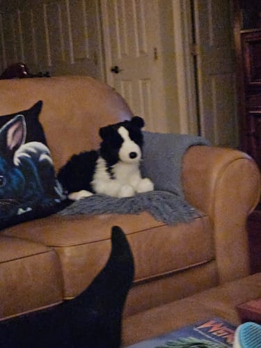 Customer's review photo. The beautiful gift set is not shown in the image.