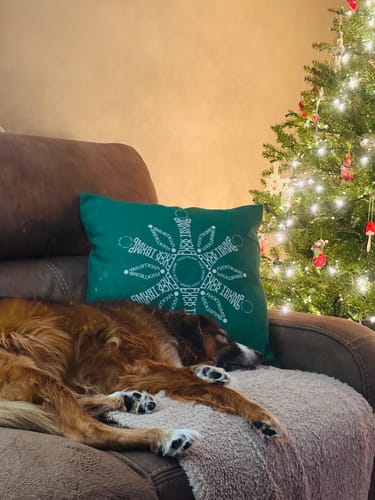 Customer photo review of F*ck Trump Winter Snowflake Accent Pillow Cover