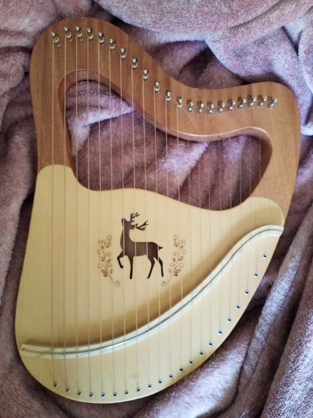 Customer photo review of Lyre Harp 21 String Deer Mahogany w/Case