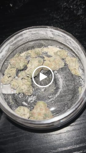 Customer video review of THCA Snowballs