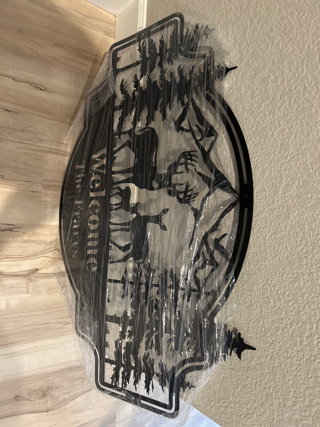Customer photo review of Forest View Metal Sign
