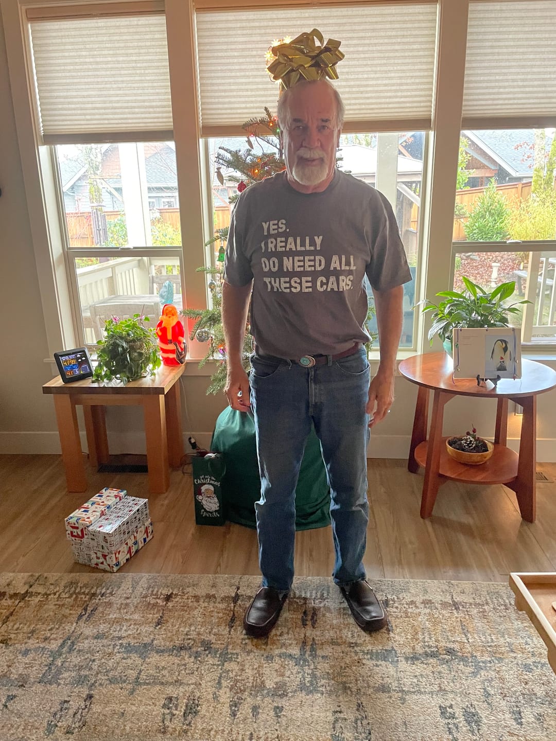 Customer photo review of Need All These Cars