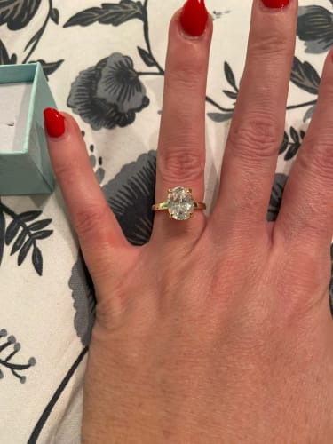 Customer photo review of Oval Hidden Halo Engagement Ring