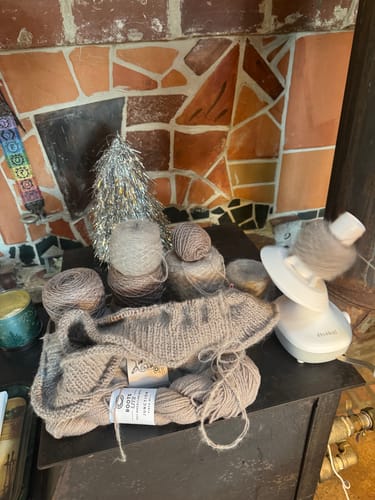 Customer photo review of Roots LITE: Silver