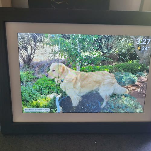 Customer photo review of Digital Photo Frame
