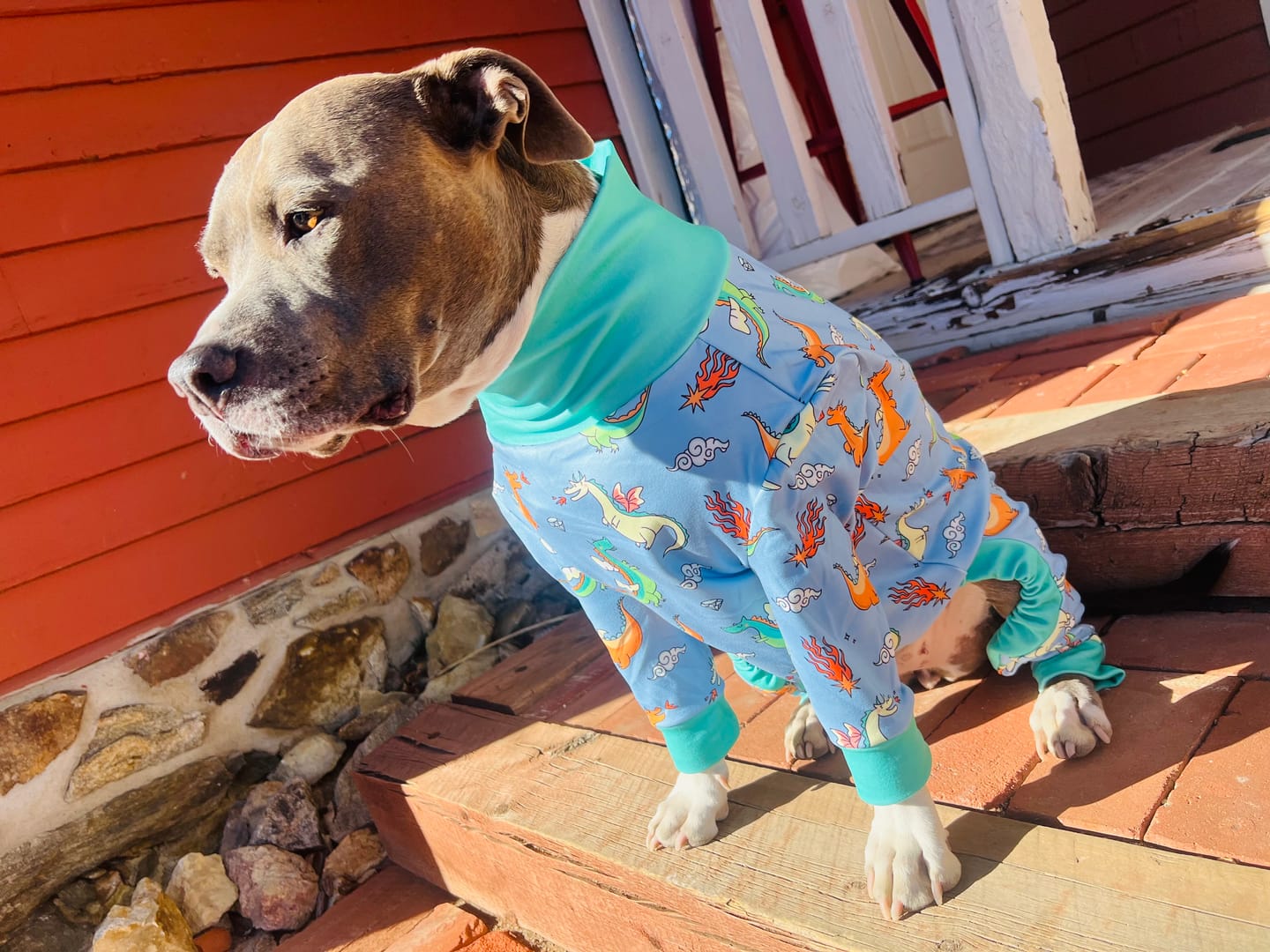 Customer photo review of Dog Pajama - Dragons