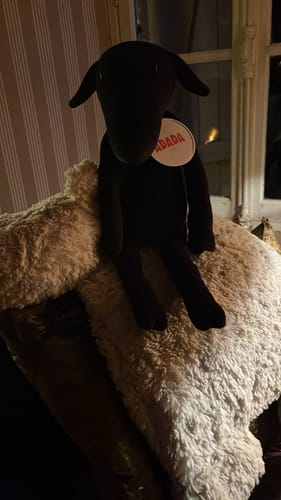 Customer photo review of MAIA, LA BREBIS - L