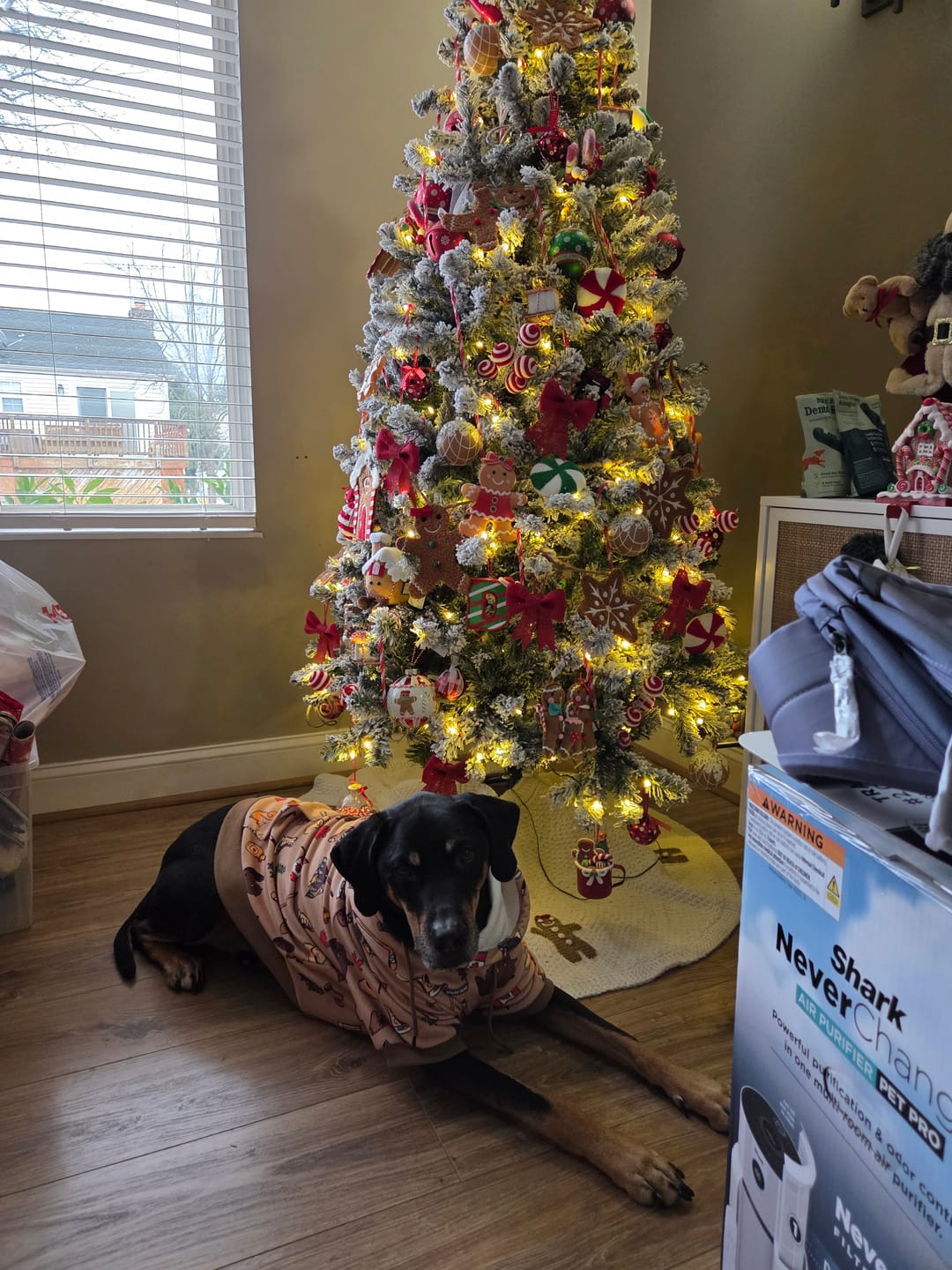 Customer photo review of Canada Dog Hoodie
