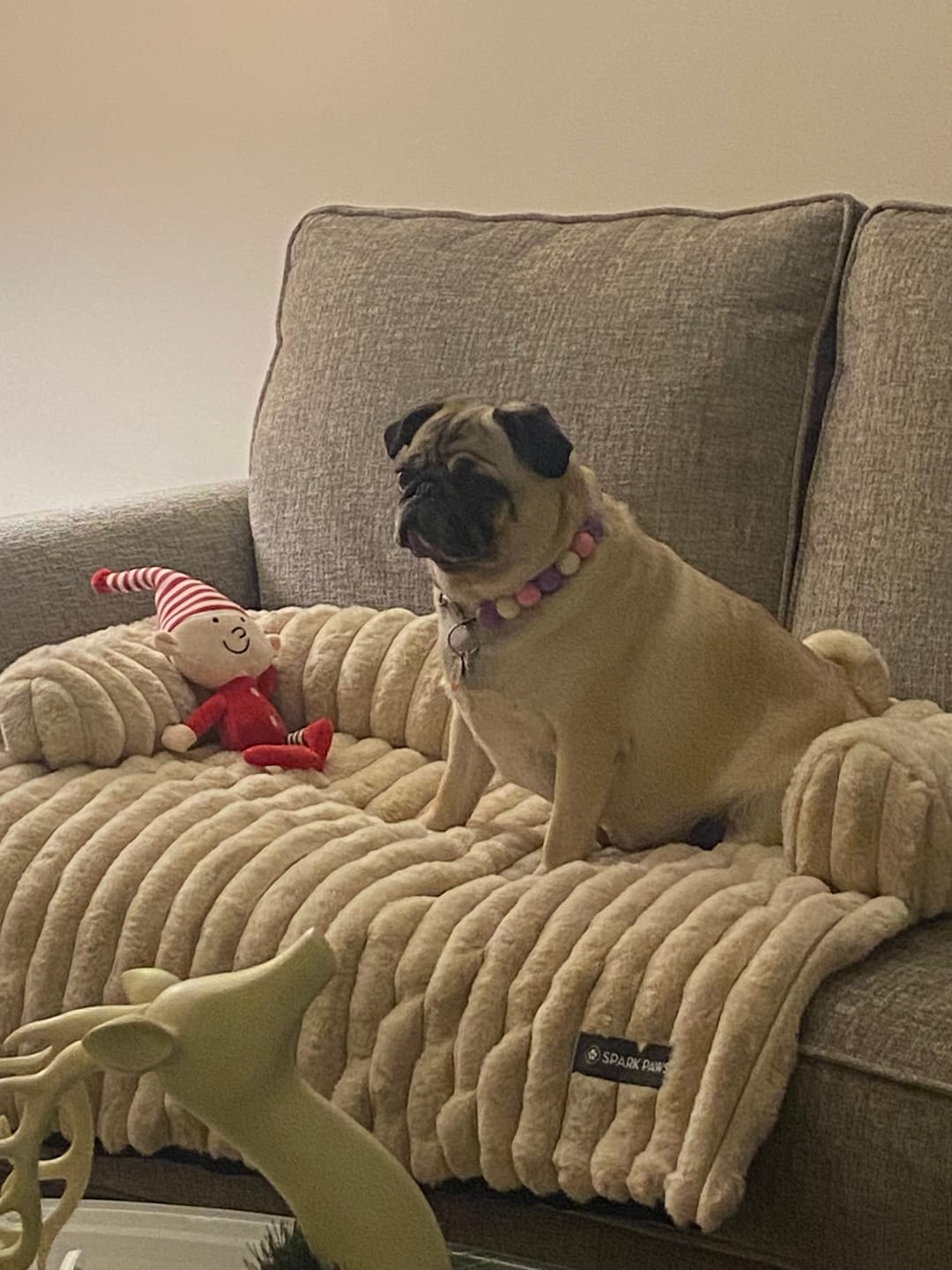 Customer photo review of Luxury Couch Cover Dog Bed - Beige