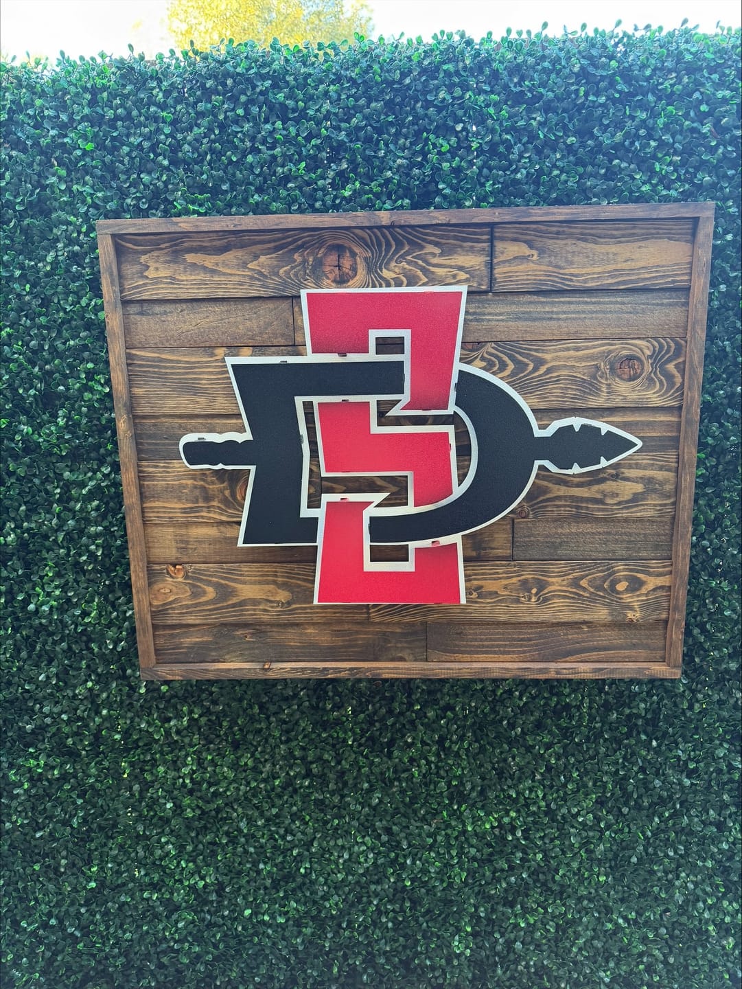 Customer photo review of San Diego State Aztecs SDSU 3D Vintage Metal Wall Art