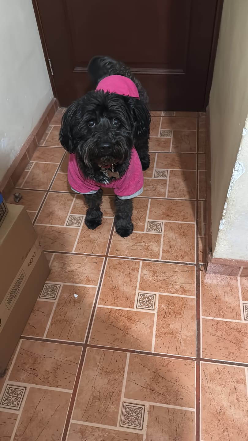 Customer photo review of Collar con Placa Hot Pink