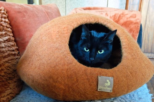 Customer photo review of Premium