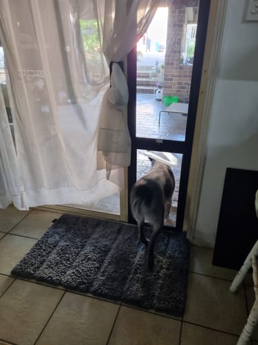 Customer photo review of Patio Pet Door Insert