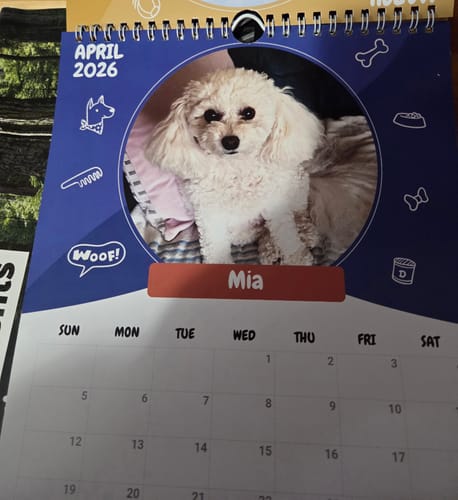 Customer photo review of Official Pupvote Cutest Pets of the Year Calendar (2026)