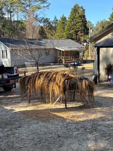 Customer photo review of Hunting Blind Raffia Grass (Pack)