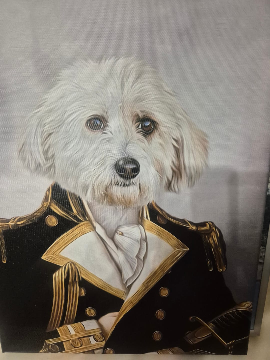 Customer photo review of Napoléon