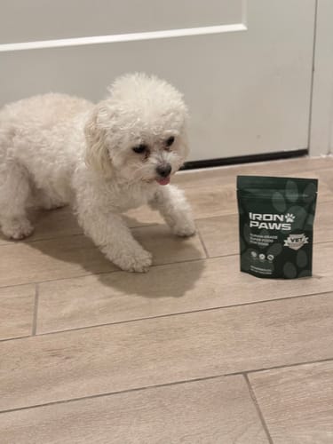 Customer photo review of Iron Paws Premium Dog Supplement