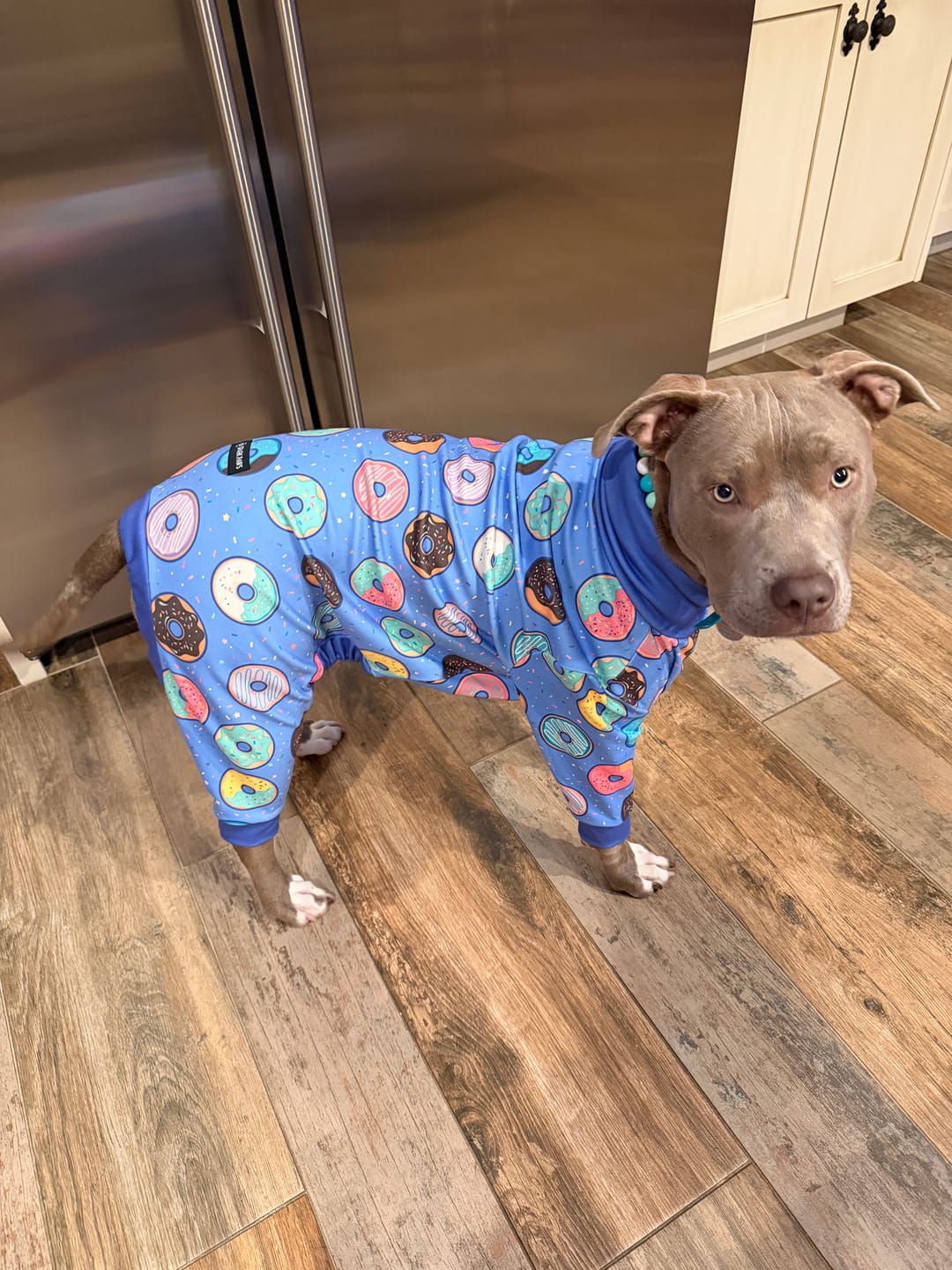 Customer photo review of Dog Pajama Prints