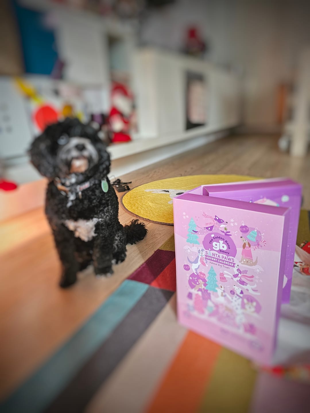 Customer photo review of Christmas Dog Treats Advent Calendar BUNDLE & SAVE