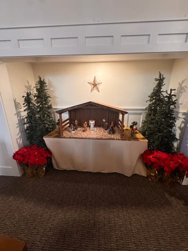 Customer photo review of Three Kings Gifts 10" Collection – Real Gold, Frankincense & Myrrh