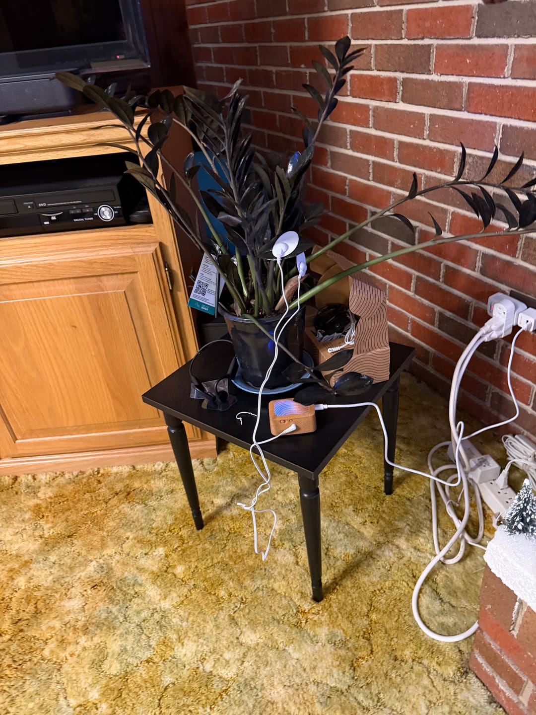 Customer photo review of PlantWave