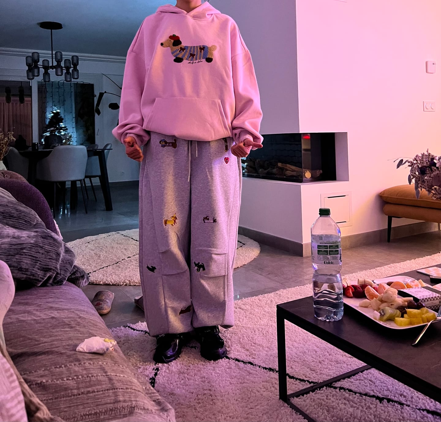 Customer photo review of Aelfric Eden Cartoon Dachshund Hoodie
