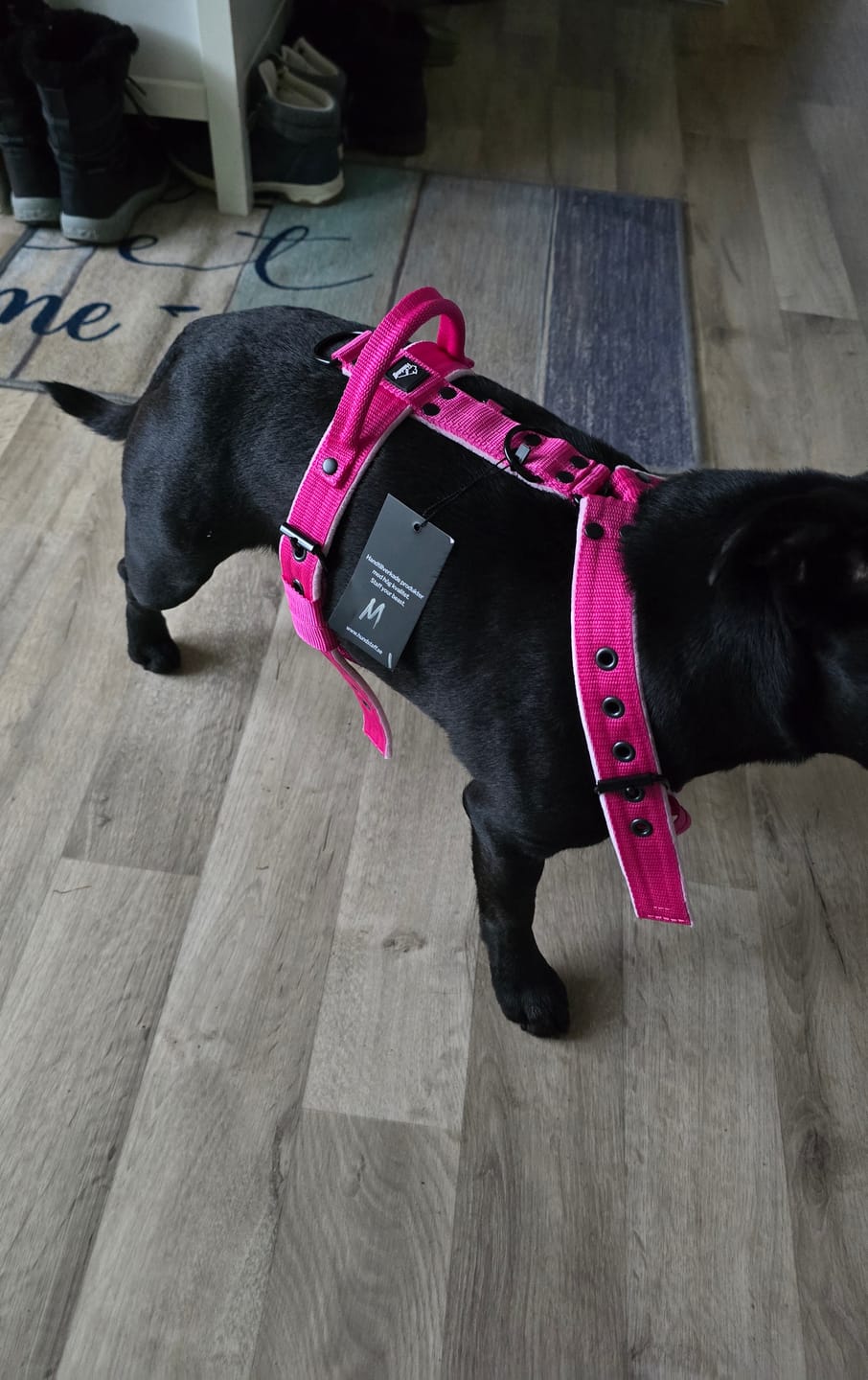 Customer photo review of Hundsele med namn