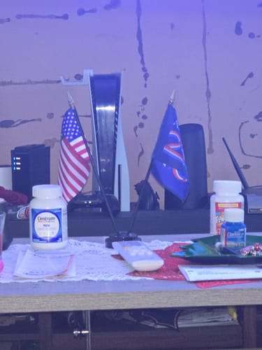 Customer photo review of America 250 Stick Flag Set