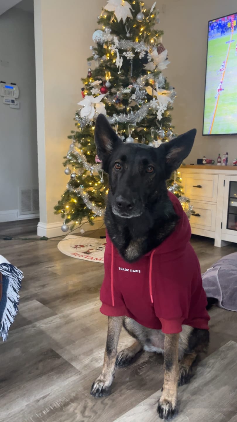 Customer photo review of Essential Human Hoodies