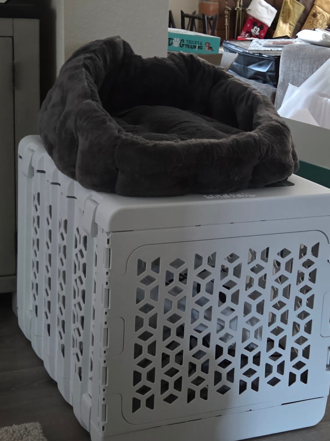 Customer photo review of Medium PAWD divider