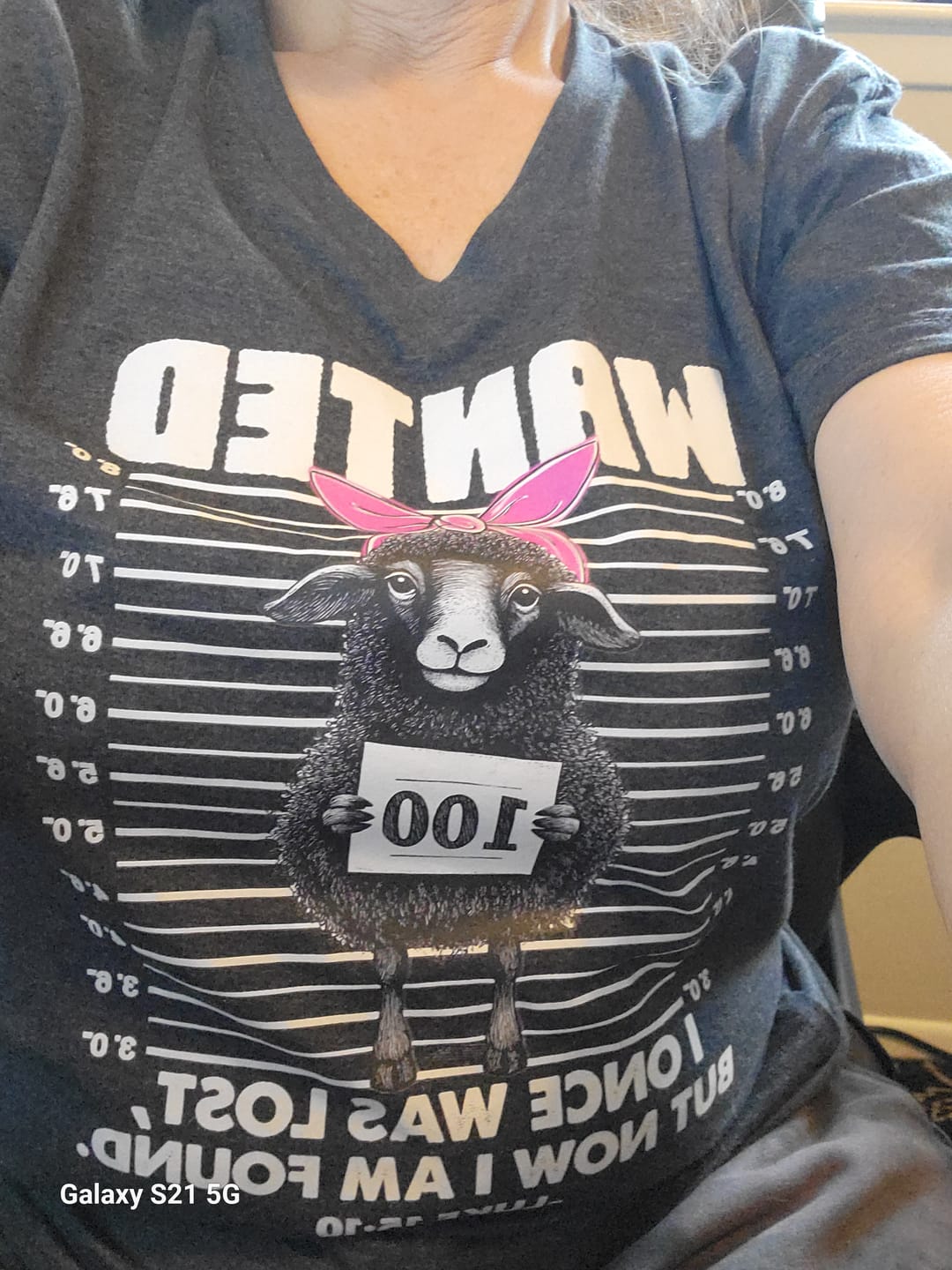 Customer photo review of Lost Sheep