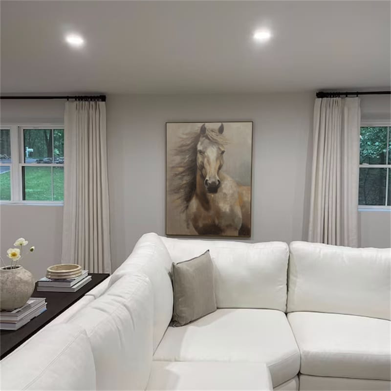 Customer photo review of Abstract Animal Horse Wall Art #AC050