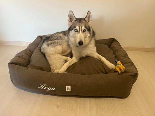 Customer photo review of Divanetto Mattias Marrone (Soft Touch)