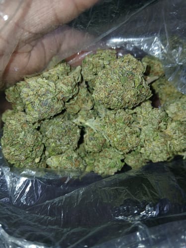 Customer photo review of Shipping Protection by Route