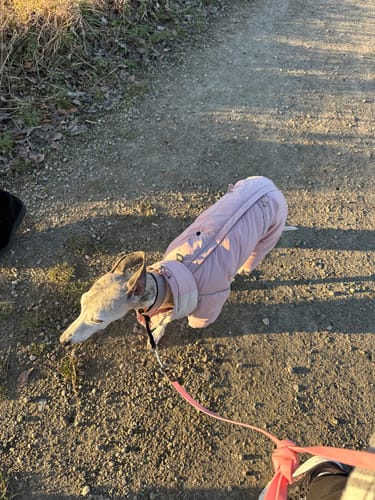 Customer photo review of ArcticDown Thermal Jumpsuit