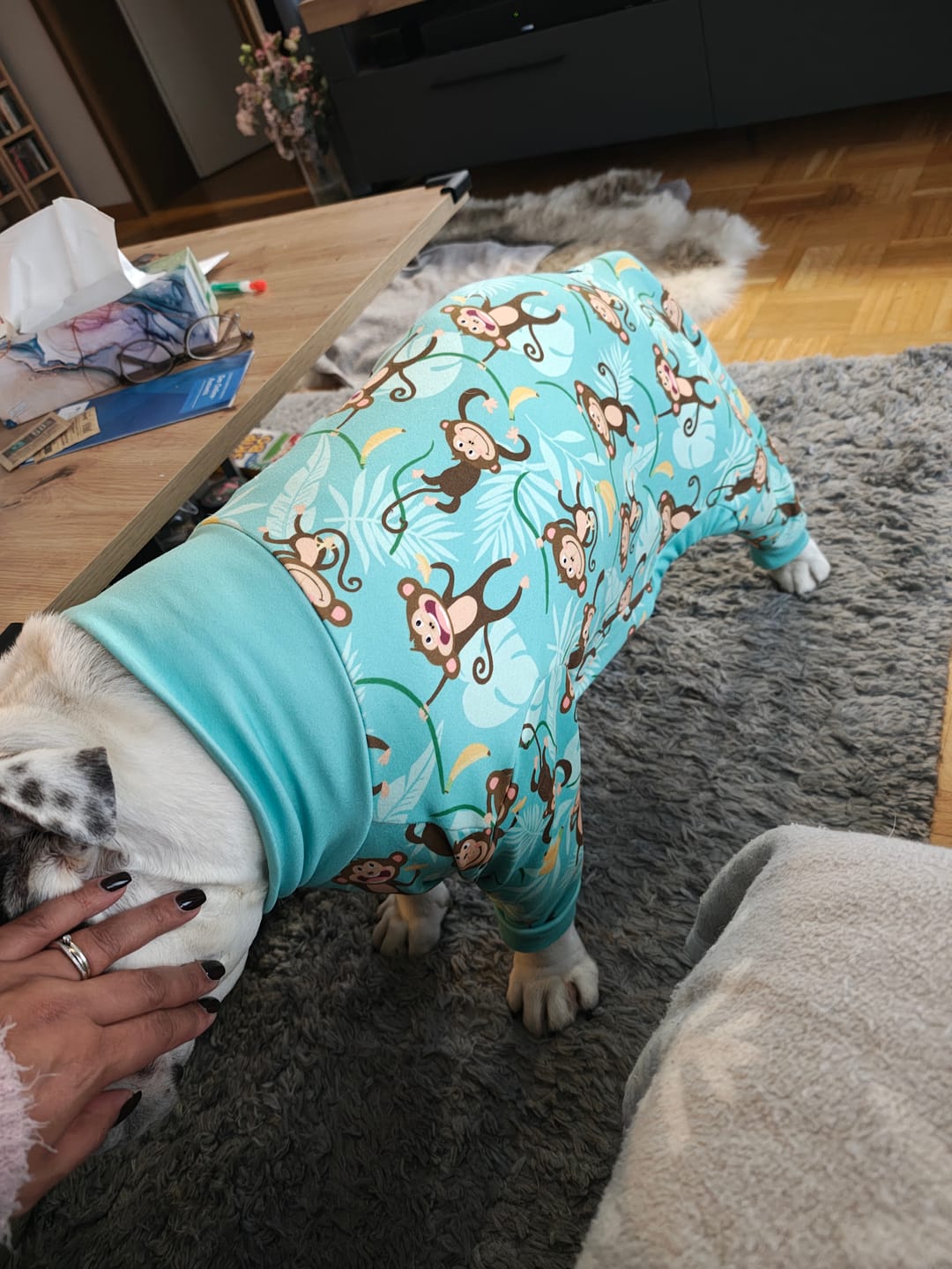 Customer photo review of Dog Pajama - Alien