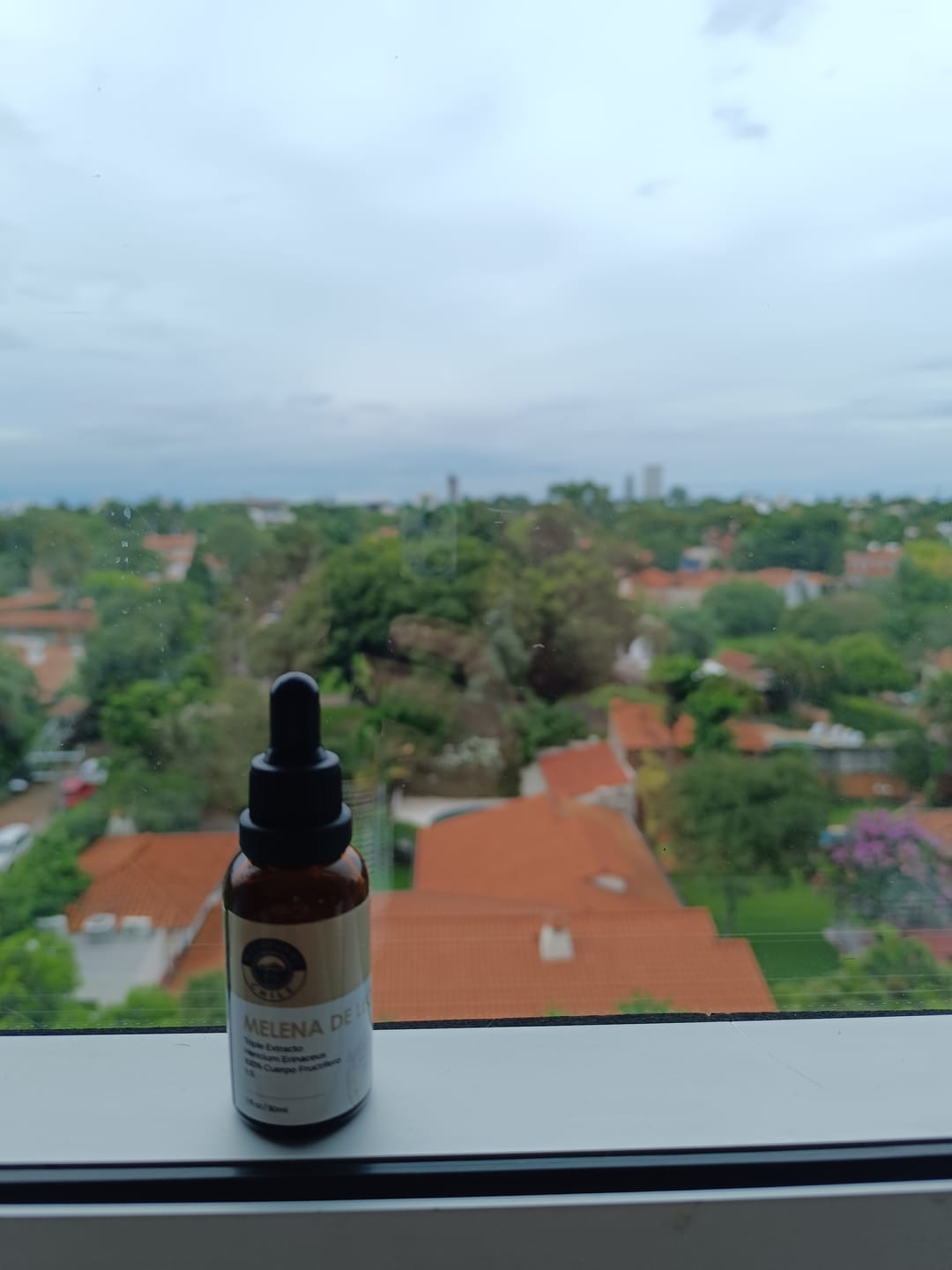 Customer photo review of Triple Extracto Melena de León