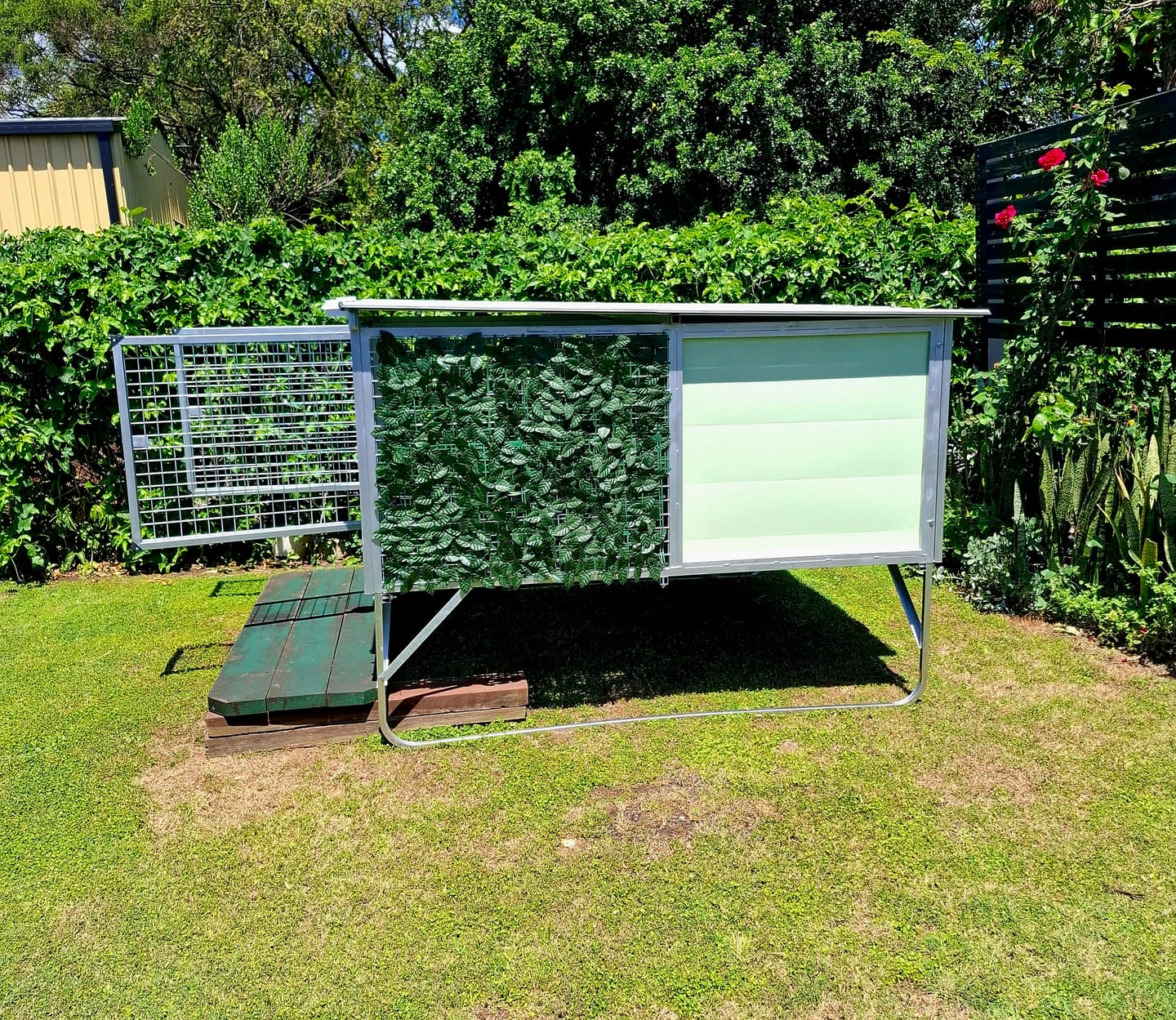 Customer photo review of Raised Safety Kennel
