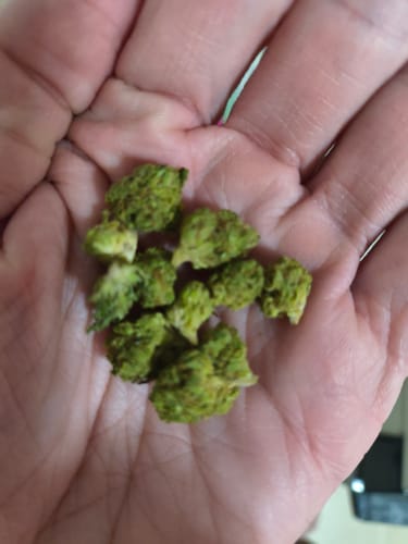 Customer photo review of THCa Indoor Micros