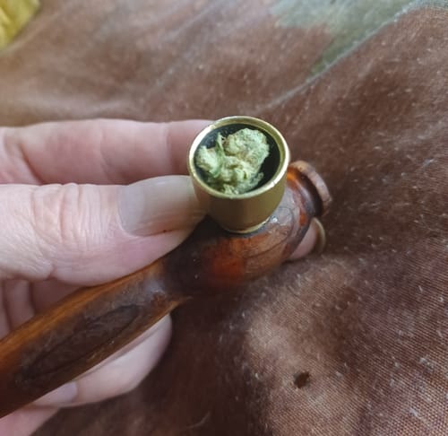 Customer photo review of Purple Punch - Indoor THCA (Full Size)