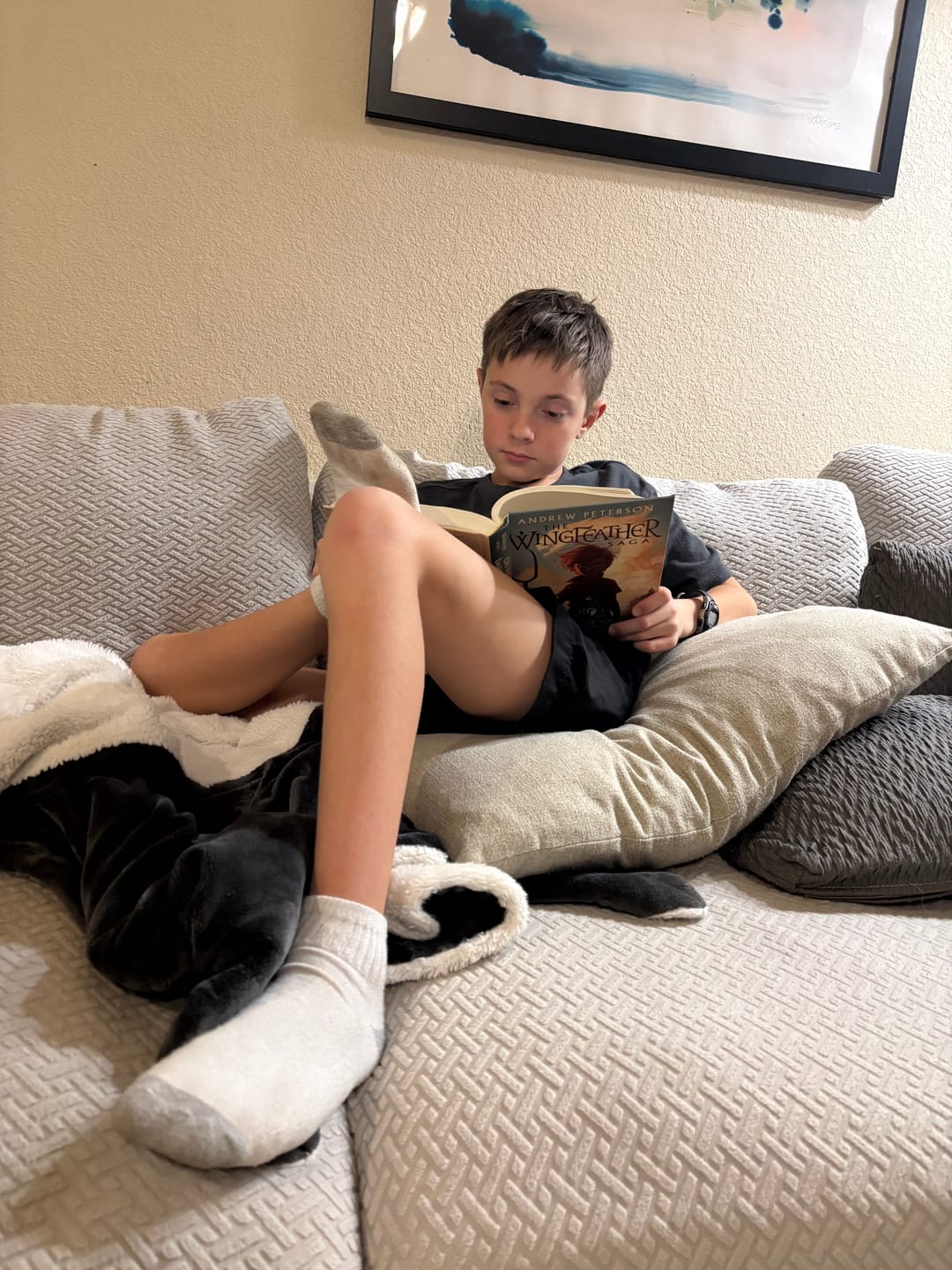 Customer photo review of Wingfeather Saga Novels 1-4 Box Set