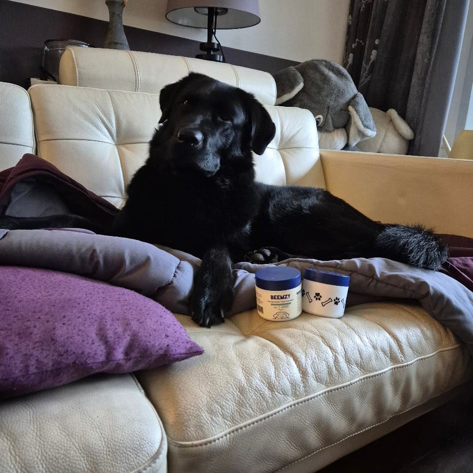 Customer photo review of Beemzy Tandpoeder voor Honden