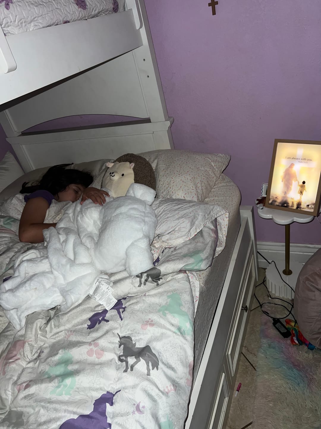 Customer photo review of The Jesus Lamp